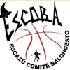 https://img.aisecc.com/img/basketball/team/95ca2fba7a544d09120be3047cd05bc7.png