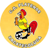 https://img.aisecc.com/img/football/team/63b0933cc303927659846a4ed54b1522.png